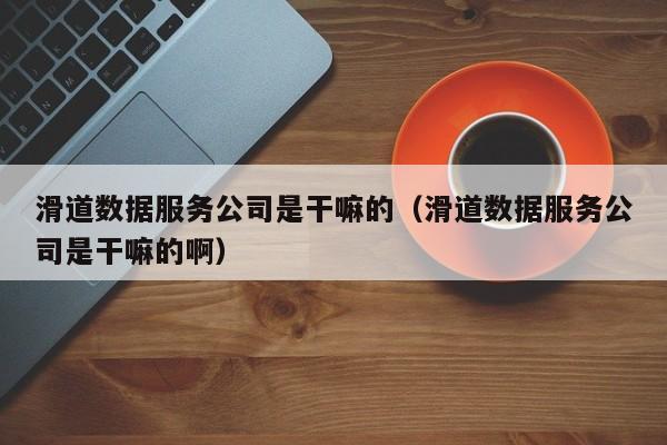 买球-滑道数据服务公司是干嘛的（滑道数据服务公司是干嘛的啊）